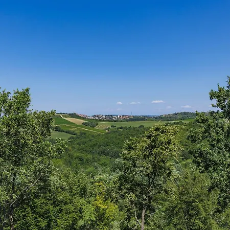 Morgan By Interhome Donje Baredine