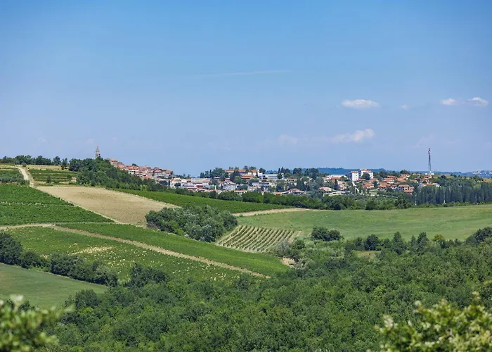 Morgan By Interhome *