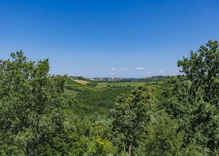 Morgan By Interhome Donje Baredine